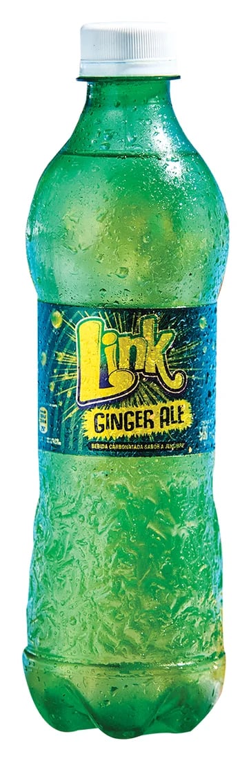 Link 500 ml Ginger Ale